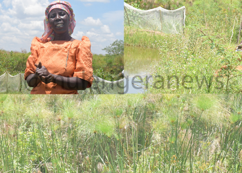Unveiling Adaptive Strategies of Women in Namutumba District Confronting Climate Change