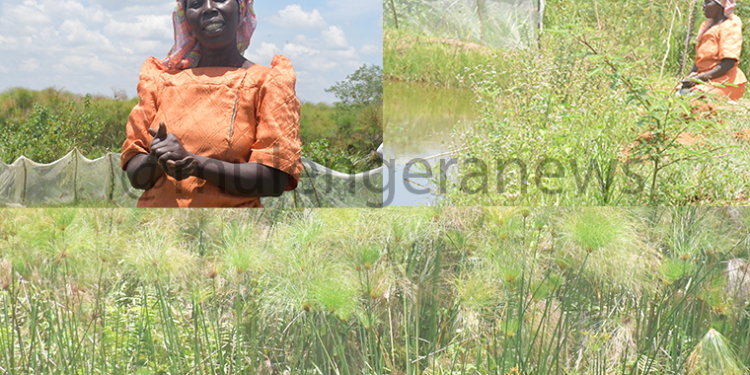 Unveiling Adaptive Strategies of Women in Namutumba District Confronting Climate Change