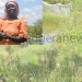 Unveiling Adaptive Strategies of Women in Namutumba District Confronting Climate Change