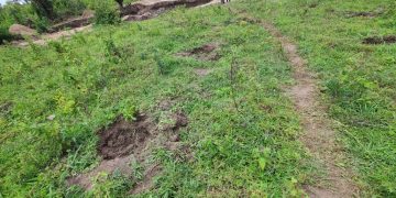 Arua Youth restore Ezuku Forest Reserve; enviously protect what they once degraded