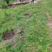 Arua Youth restore Ezuku Forest Reserve; enviously protect what they once degraded