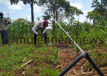 Solar Irrigation Boom Pushes Buseru Farmers in Kaliro District to Start Saving for Shs500m Local School Construction