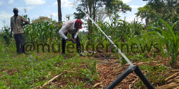 Solar Irrigation Boom Pushes Buseru Farmers in Kaliro District to Start Saving for Shs500m Local School Construction
