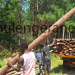 MWE Stands Up for Trees and Forest Reserves as Cutters Turn to Silent Tactics