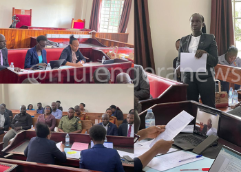 NWSC Shines in Standards, Utilities & Wildlife Court-100 % Conviction Rate, 14 Cases Closed