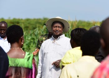 How M7’s Key Water Access Intervention Diminished Diseases & Gender-Based Violence in Ngora’s Kapir Sub County