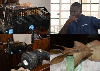 Telecom Vandalism Suspect Quarish Seeks Magistrate’s Guidance Before Pleading Guilty in the UCC Matuga Vandalism Case 