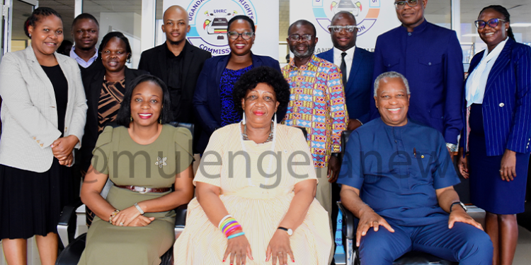 M7’s Solar-Powered Irrigation Scheme Changes People’s Cultivation from Maize and Sugarcane to horticulture in Gule B, Tororo District; Farmers Reap Big