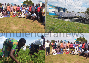 Power of the Sun: Through MWE, GoU’s Solar Initiative Transforms Katakwi’s Agule Farming Communities