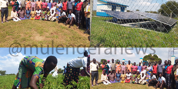 Power of the Sun: Through MWE, GoU’s Solar Initiative Transforms Katakwi’s Agule Farming Communities
