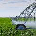 M7’s Solar-Powered Irrigation Scheme Changes People’s Cultivation from Maize and Sugarcane to horticulture in Gule B, Tororo District; Farmers Reap Big