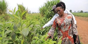 Here’s How GoU Has Impacted Women Thru GROW Project Loans-(Beneficiaries’ Profiles)