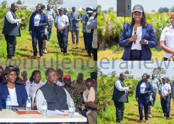 Busoga Farmers to Earn UGX 2.5M Monthly as Equity Bank Powers National Oil Palm Project