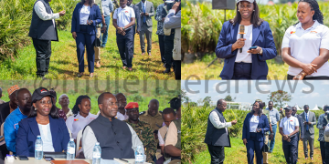 Busoga Farmers to Earn UGX 2.5M Monthly as Equity Bank Powers National Oil Palm Project