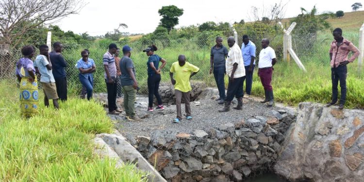 MWE’ Solar Irrigation Turns Hoima Farmers into Rising Wealth Makers Dreaming of Their Own Vehicles