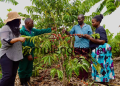 Regenerative Agriculture Pays Off as Farmers in Kiboga, Busoga Reap Bigger Harvests