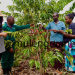 Regenerative Agriculture Pays Off as Farmers in Kiboga, Busoga Reap Bigger Harvests