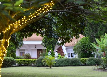 Museveni’s NRM Government Leads Uganda to Historic Victory in Fight Against HIV/AIDS