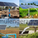 Irrigating Dreams: How Solar-Powered Water is Turning Struggling Farms into Prosperous Enterprises in Northern Uganda