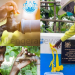 Here’s How NWSC is Supporting M7’s Agenda on Universal Access to Clean & Safe Drinking Water as a Human Right