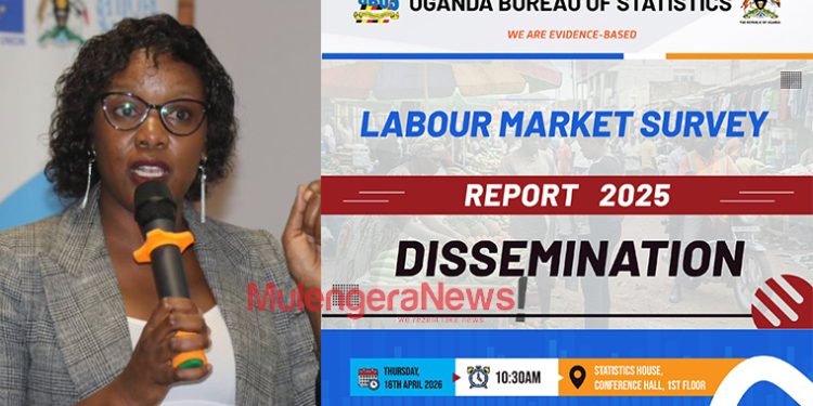 Uganda Has Over 9.7 Million Employees, UBOS Labour Survey Reveals