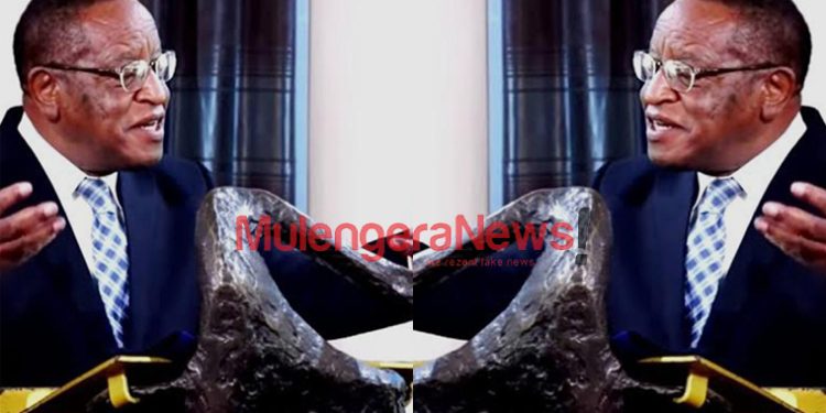 SURUMA: Ugandans Capital Ownership Still In Control Of The Western Colonialists