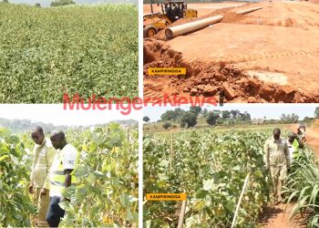 Gender Ministry Officials Accused of Sharing 30 Acres of Land as Ministries Frustrate M7’s Kampiringisa Fertilizers Project-80BN PROJECT AT STAKE!