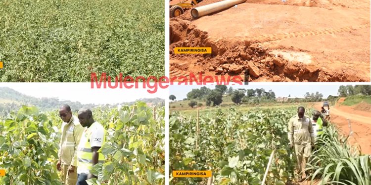 Gender Ministry Officials Accused of Sharing 30 Acres of Land as Ministries Frustrate M7’s Kampiringisa Fertilizers Project-80BN PROJECT AT STAKE!