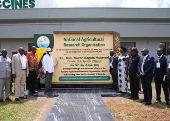 Uganda Unveils Africa’s First Homegrown Anti-Tick Vaccine in Major Scientific Breakthrough