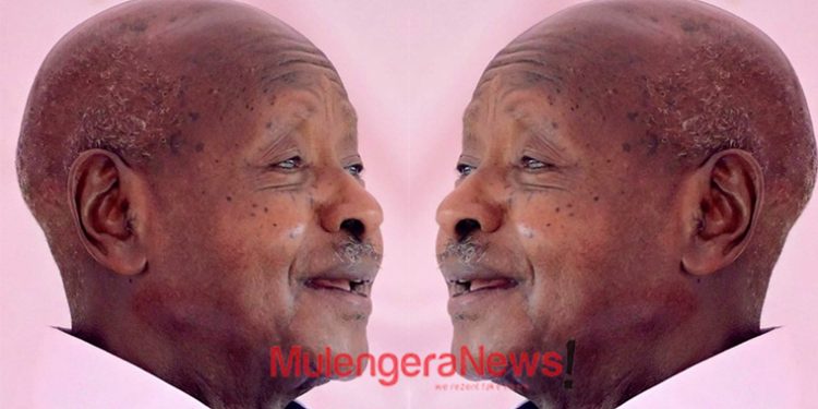 Future of Big Green Private Pharmacy At Mulago Hangs in Balance As M7 Cancels Brian Segawa’s Land Title