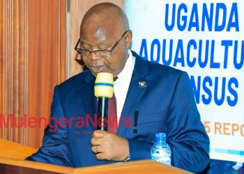 Tilapia Dominates as Uganda Hits 65,444 Metric Tons in Fish Production- UBOS