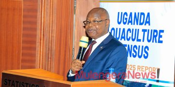 UBOS Aquaculture Census 2025: Buganda Dominates as Uganda’s Leading Fish Farming Hub Amid Rising Sector Growth