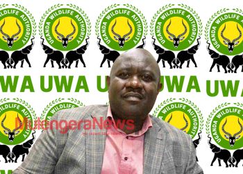 How Uganda Wildlife Authority Has Changed Under the Current Leadership