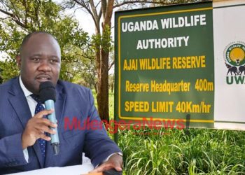 UWA Recovers Shs15.6 Billion as Financial Performance Improves