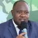 New ED Musinguzi Demonstrates He Means Business As UWA Seizes 9 Tons Of Ivory, Pangolin Scales