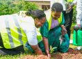 Equity Bank Deepens Climate Action as Ex-Minister Amelia Kyambadde Leads Mpigi Tree Planting Drive