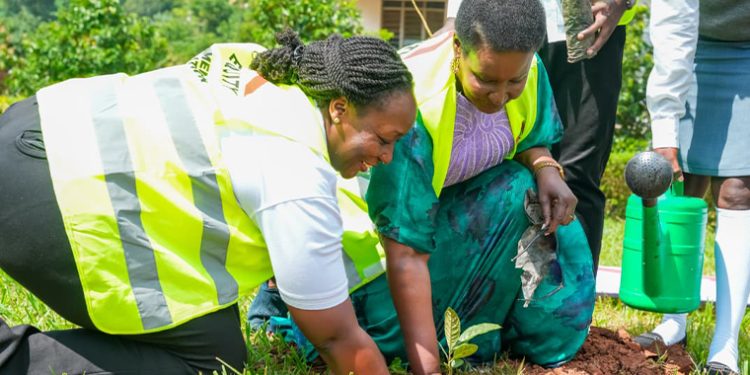 Equity Bank Deepens Climate Action as Ex-Minister Amelia Kyambadde Leads Mpigi Tree Planting Drive