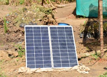Equity Bank Empowers Nursery Expansion and Green Livelihoods through Solar Irrigation in Lira