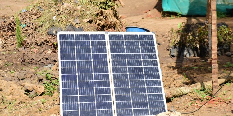 Equity Bank Empowers Nursery Expansion and Green Livelihoods through Solar Irrigation in Lira