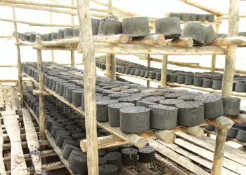 Equity Bank Fuels Elsmart’s Leap from Hospital Ward Inspiration to Clean Energy Manufacturer