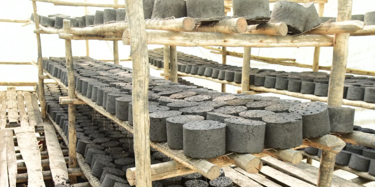 Equity Bank Fuels Elsmart’s Leap from Hospital Ward Inspiration to Clean Energy Manufacturer