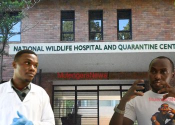 Uganda Wildlife Laboratory Manager Warns of Rising Threat from Animal-to-Human Diseases
