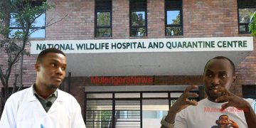 Uganda Wildlife Laboratory Manager Warns of Rising Threat from Animal-to-Human Diseases
