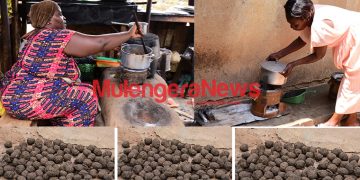 Eco-Stoves transform lives of women in rural Uganda