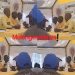 NRM Bosses Shocked as 100 Journalists Fail to Ask Even one Question at Dr. Tanga’s News Conference