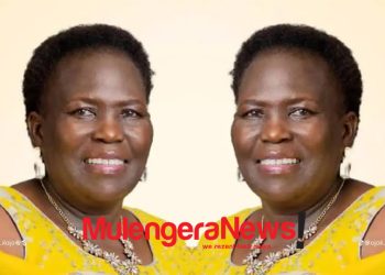 Nwoya Woman MP Demands Action Over Elephant Attacks as Government Moves to Expand Electric Fencing
