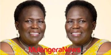 Nwoya Woman MP Demands Action Over Elephant Attacks as Government Moves to Expand Electric Fencing