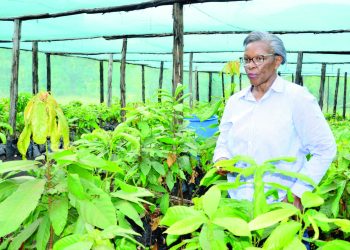 From Cocoa Farmer to Agribusiness Leader: How Global Exposure Expanded Joan Kantu’s Vision