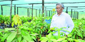From Cocoa Farmer to Agribusiness Leader: How Global Exposure Expanded Joan Kantu’s Vision