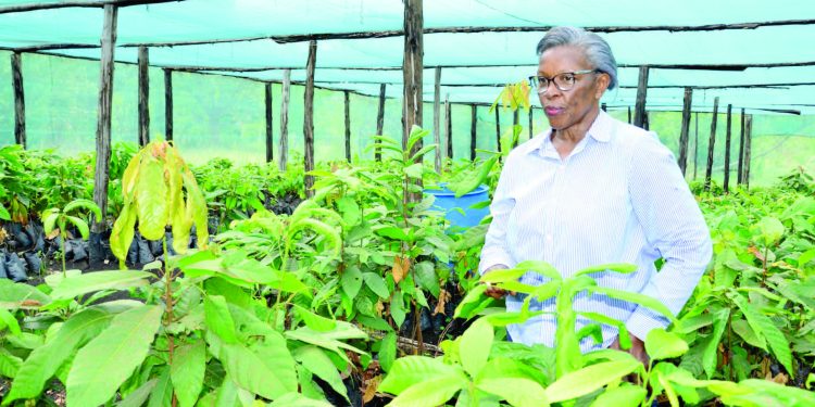 From Cocoa Farmer to Agribusiness Leader: How Global Exposure Expanded Joan Kantu’s Vision